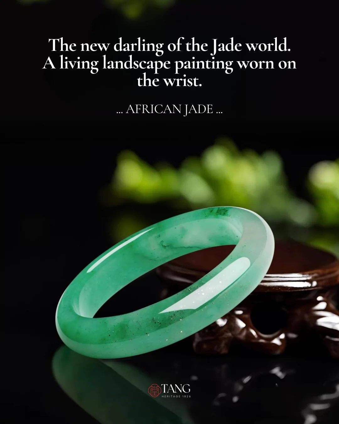 Mountain Mist African Jade Bangle - Image 6