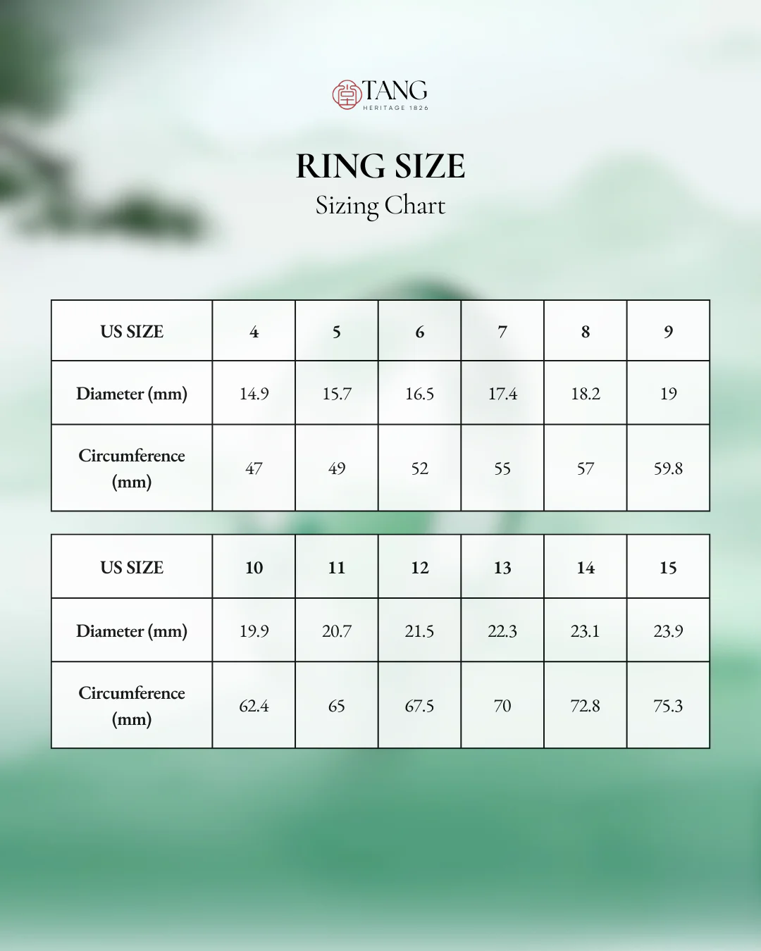 Mountain Mist African Jade Ring - Image 9